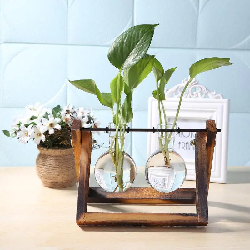 5Gqt3zMidQM1dhL.webp